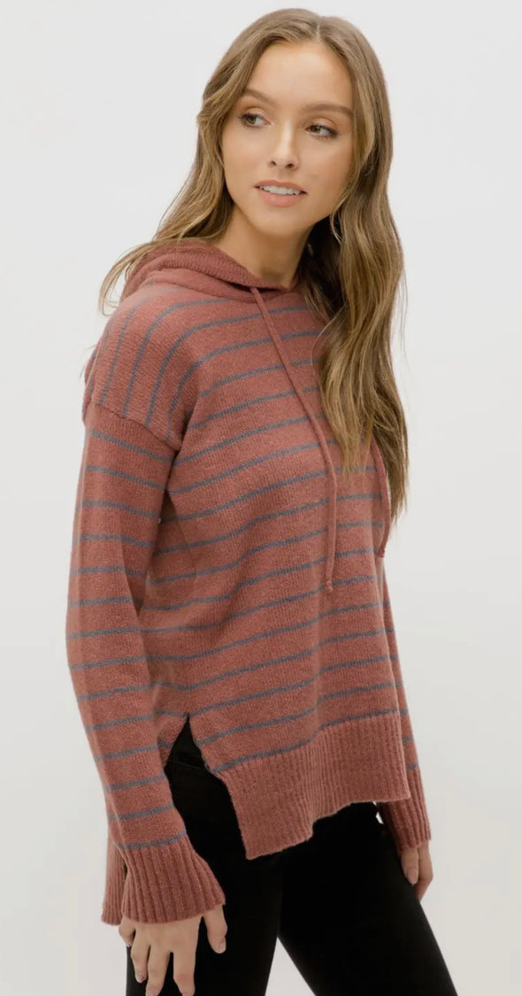 Harper Hooded Striped Sweater in Multi